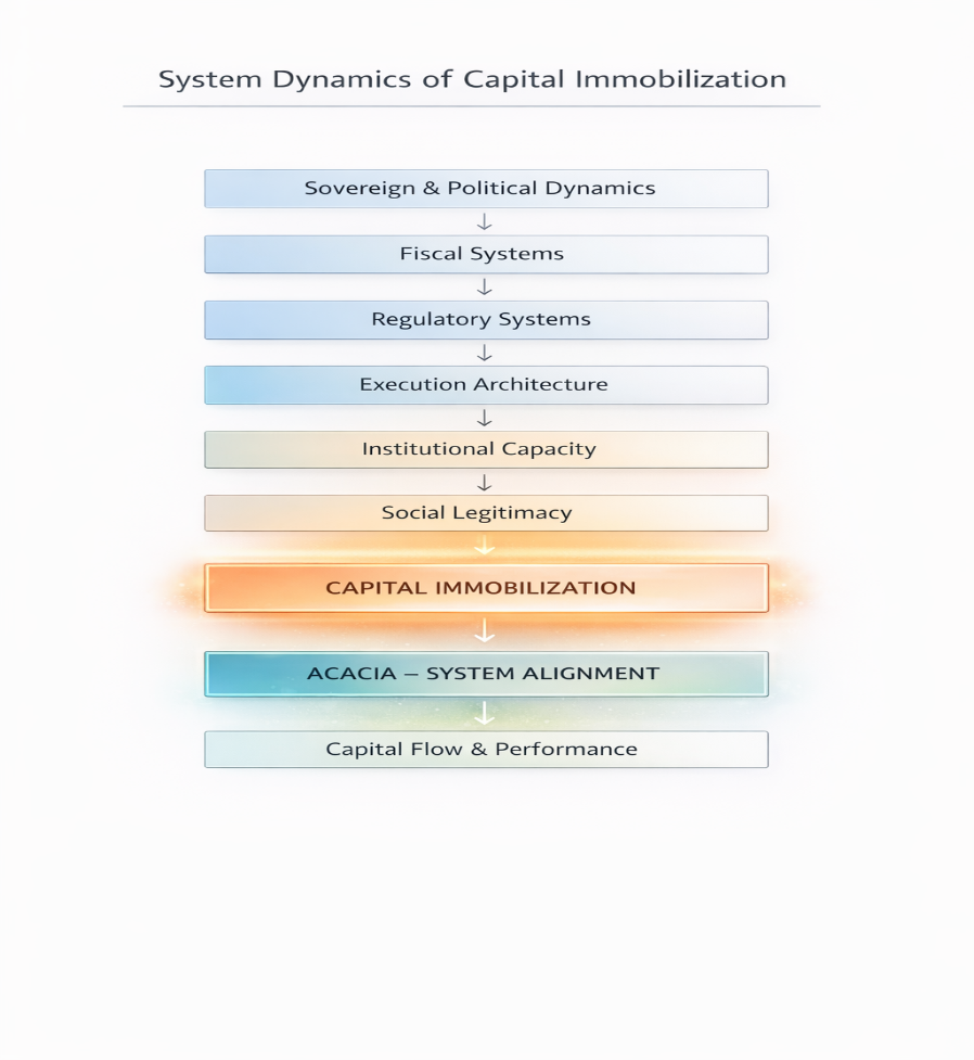 System Dynamics of Capital Immobilization - schéma des dynamiques systémiques